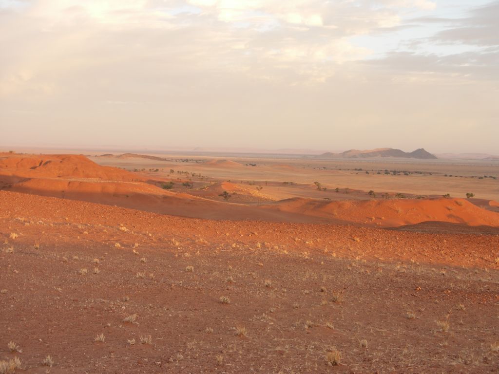 namib desert